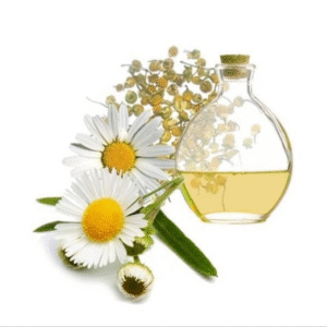 BQ camomila r.9177fr 1LT